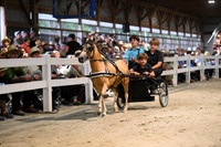 AJB_2270