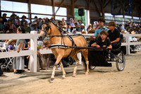 AJB_2268