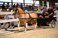 AJB_2271