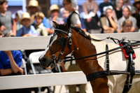Lot 127