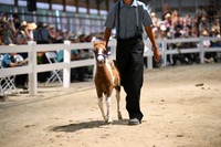 AJB_2290