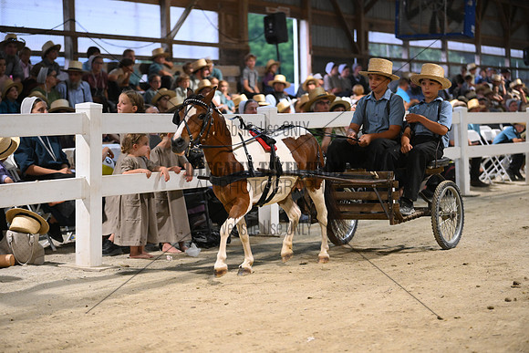 AJB_2295