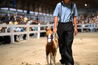 AJB_2296