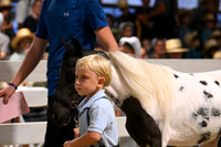 Lot 129