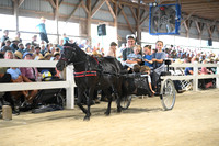 Lot 13