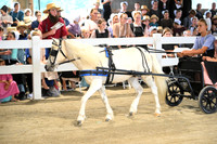 AJB_1023