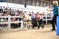 AJB_1024