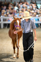 Lot 15