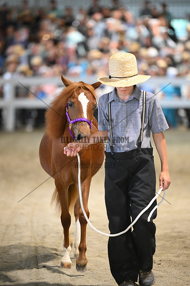 AJB_1036