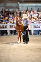 AJB_1031
