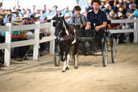 AJB_1051