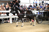 AJB_1044