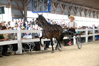 Lot 17
