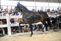 AJB_1054