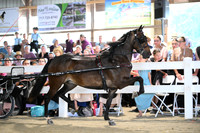 AJB_1058