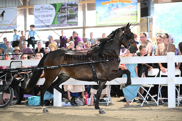 AJB_1058