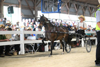 AJB_1059