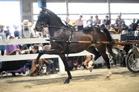 Lot 18