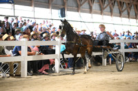 AJB_1062