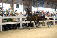 AJB_1063