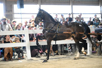 AJB_1068