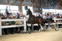 AJB_1067