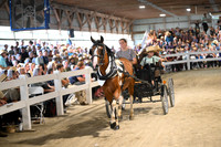 Lot 19