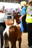 AJB_1079