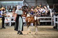 AJB_1085