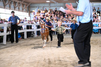 AJB_0831