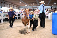 AJB_0833