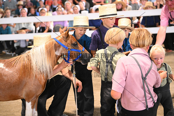 AJB_0839