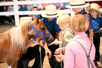 AJB_0838