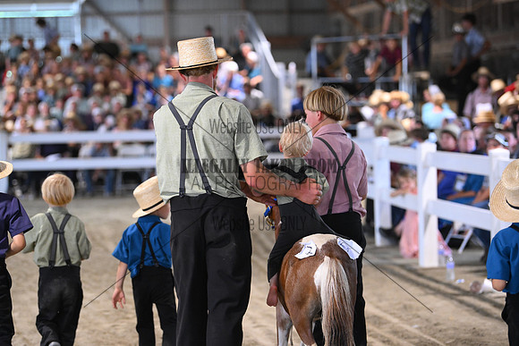 AJB_0844