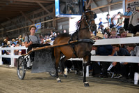 AJB_1101