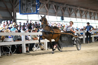 AJB_1104