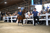 Lot 21