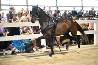 Lot 22