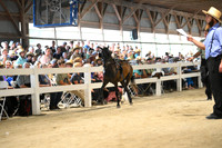 AJB_1121