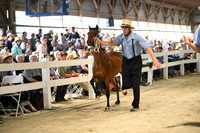 Lot 23