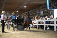 Lot 24