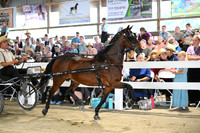 Lot 25