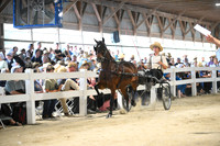 AJB_1149