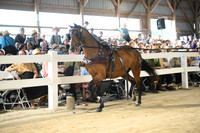 Lot 26