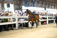 AJB_1165