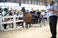 AJB_1177