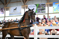 Lot 28