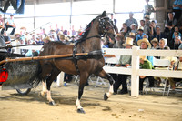 AJB_1181