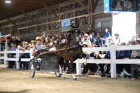 AJB_1184