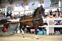 AJB_1185